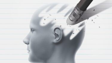 【日記 vol.33】ブレインフォグに困っています〜基本事項のおさらい