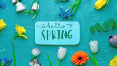 【日記 vol. 43】今からでも間に合う!遠出の必要がない春休みイベント集